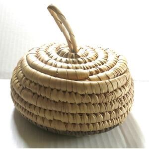 AFRICAN Hand Woven Hanging Basket Grass Tribal Ethnic Lid and Loop Nigeria Tans